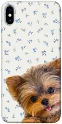 TPU чохол Demsky Cute Yorkie для Apple iPhone X (5.8")