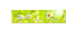 Кухонний фартух Роса Сонечка Ромашки ПВХ 60х200 см тварини Зелений Happy Pocket Z183858 - мініатюра 7