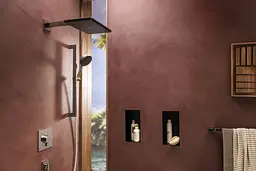 Верхній душ Hansgrohe Raindance Alive Q 210x340 1jet EcoSmart chrome 24531000 - мініатюра 2