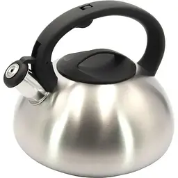 Чайник Lessner Twist з нержавійки 2.7  л (49519)