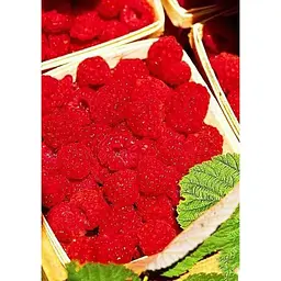 Саджанець Agro-Market Малинове дерево Королівська влада (преміальний сорт) 1 шт. в упаковці (44444) - мініатюра 4