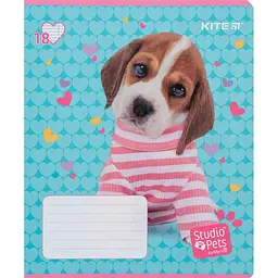 Набір зошитів Kite Studio Pets А5 в лінійку 18 аркушів 20 шт. (SP24-237) - мініатюра 5