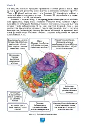 Біологія. Підручник. 8 клас - Людмила Юрченко - мініатюра 18