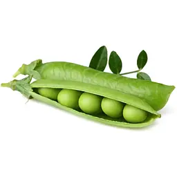 Змінний картридж Click & Grow Smart Garden Карликовий горошок, 3 капсули (8998) - мініатюра 3