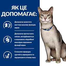 Сухий корм для котів Hill's Prescription Diet ActivBiome+ Kidney Defense підтримання функції нірок, з тунцем, 0,4 кг - мініатюра 4