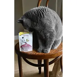 Вітаміни GimCat Every Day Malt Tabs для котів, 40 г - мініатюра 3
