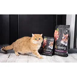 Сухий корм Savory Adult Cat Steril Fresh Lamb & Chicken 0,4 кг для стерилізованих котів (ягня та курка) - мініатюра 6