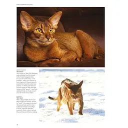 Encyclopedia of Cats - Фотопулос Джуліанна - мініатюра 2