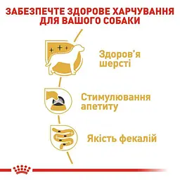 Набір вологий корм  Royal Canin Yorkshire Adult для дорослих собак породи Йоркширський тер'єр 1.02 кг (12 шт. х 85 г) - мініатюра 4