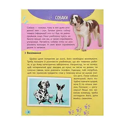 Книга Мініенциклопедія. Хатні улюбленці Vivat (9789669827241) - мініатюра 5