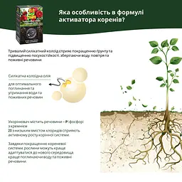 Активатор коренів COMPO ТURBO 700 г - мініатюра 7