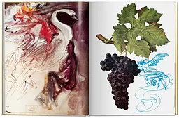 Dalí. The Wines of Gala - мініатюра 16