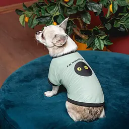 Футболка Pet Fashion Oscar для собак бавовна трикотаж рибана синя XS - мініатюра 4