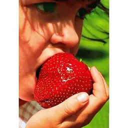 Саджанець Agro-Market Полуниця Гігантелла MAXI 5шт (середньо-пізній термін дозрівання, великоплідний сорт) (37310) - мініатюра 3