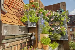 Комплект мікрокрапельного поливу Gardena Micro-Drip-System NatureUp на 12 кутових горщиків (13157-20) - мініатюра 5