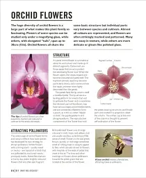 Grow Orchids. Essential Know-how and Expert Advice for Gardening Success - мініатюра 5