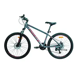 Велосипед Forte COMPASS 25.2921-26S к29" р21" сіро-червоний