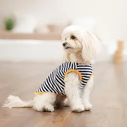 Борцовка Kale Pet Fashion для собак S смугаста - мініатюра 4