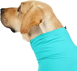 Комбінезон для відновлення собак Derby Pet Recovery Suit, Turquoise, M - мініатюра 4