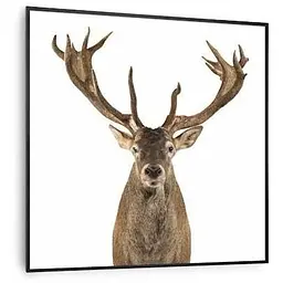 Інфрачервоний обігрівач Klarstein Wonderwall Air Art Smart Deer (10037831)