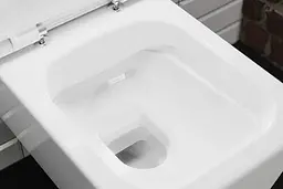 Унітаз підвісний Hansgrohe EluPura Q з інсталяцією iFrame 60301100 - мініатюра 2