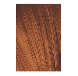 Перманентна фарба для волосся Schwarzkopf Professional Igora Royal, відтінок 6-77 (темно-русявий фіолетовий екстра), 60 мл (2683246) - мініатюра 2