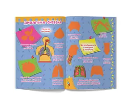 Велика книга Кристал Бук Розвиваючі наклейки + Розумні завдання Тіло людини (F00021862) - мініатюра 3