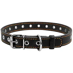 Нашийник для собак Collar, шкіряний, безрозмірний, 60х2,5 см, чорний