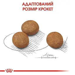 Сухий корм для цуценят собак великих порід Royal Canin Maxi Puppy, 1 кг (30060101) - мініатюра 3