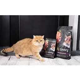 Сухий корм Savory для стерилізованих котів зі свіжим ягням і куркою 2 кг - мініатюра 5