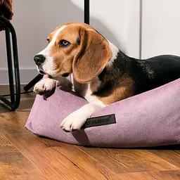 Лежак Pet Fashion Bond №2 для собак ліловий 78х60х20 см - мініатюра 2