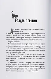 Міст душ - мініатюра 2