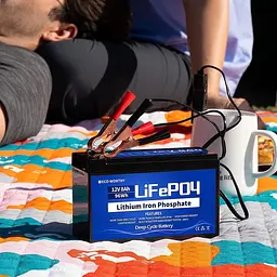 Акумулятор Eco Worthy LiFePO4 12V 8Ah (96Wh), 3000+ циклів - мініатюра 5