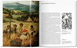 Bruegel - мініатюра 3