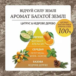 Шампунь для оздоровлення волосся та шкіри голови Land Essence Cocopalm 450 мл - мініатюра 2