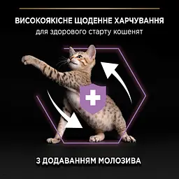Сухий корм для кошенят Purina Pro Plan Kitten <1 Healthy Start з куркою 10 кг (12434281) - мініатюра 5