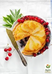 Саджанець Agro-Market Груша Кучерянка (зимовий сорт, пізній термін дозрівання) 1 шт. в упаковці (39890) - мініатюра 2
