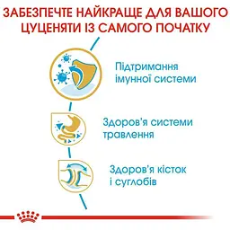 Сухий корм для цуценят породи Бульдог Royal Canin Bulldog Puppy, 12 кг (39671201) - мініатюра 5