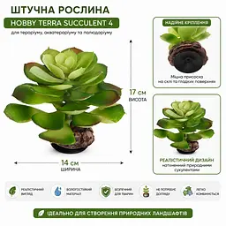 Штучна рослина Hobby Terra Succulent 4 17 см (37733) для тераріуму, акватераріуму та палюдаріуму - мініатюра 2