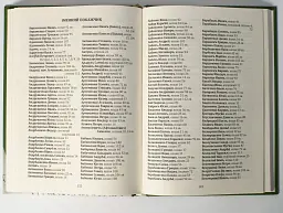 Присяга козацьких полків, що були у поході 1718 року - Олександр Різніченко - мініатюра 7
