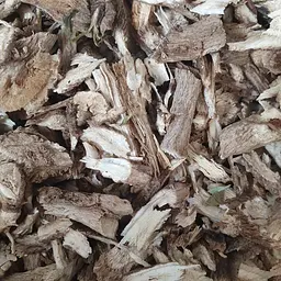 100 г цикорій звичайний коріння сушене - свіжий урожай