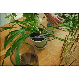 Ножиці Fiskars Plant Care для кімнатних рослин (1075316) - мініатюра 8