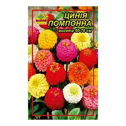 Насіння Цинія помпонна 0,5 г (Насіння країни)