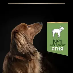 Сухий корм для дорослих собак малих порід Purina Pro Plan Adult Small & Mini Sensitive Digestion для чутливого травлення ягня 3 кг 12377367 - мініатюра 5