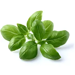Змінний картридж Click & Grow Smart Garden Базилік, 3 капсули (7199) - мініатюра 3