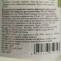Упаковка вина ігристого Viala Lambrusco dell Emilia IGP білого напівсолодкого 4.5 л (0.75 л х 6 шт.) - мініатюра 4