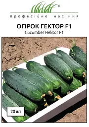 Насіння огірка Гектор F1 20 шт (Професійне насіння)
