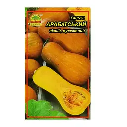 Насіння гарбуз Арабатський 2 г (Насіння країни)