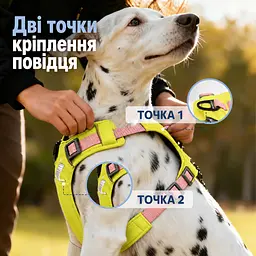 Шлея для собак Nunbell No-Pull з повідцем, регульована та світловідбивна S, Жовтий - мініатюра 6