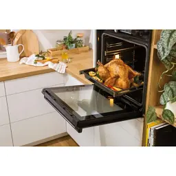 Духова шафа Gorenje BOS6747A01BG - мініатюра 12